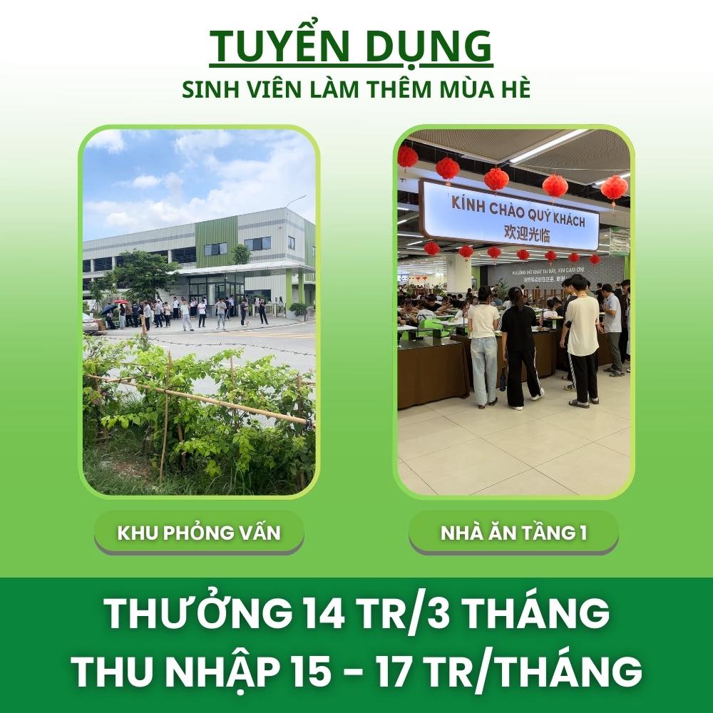 ttuc-skien